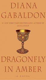 Cover Dragonfly in Amber