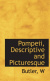 Cover Pompeii Descriptive And Picturesque